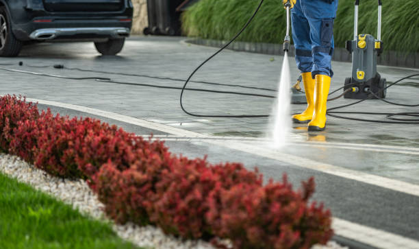 Professional Pressure Washing in Thomasville, AL