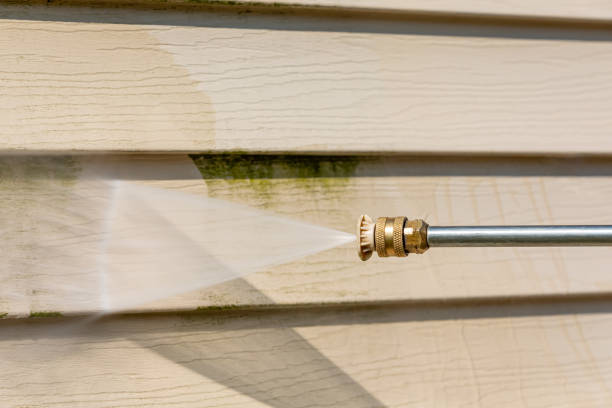 Best Pressure Washing Patio  in Thomasville, AL