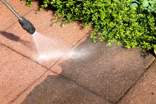 Best Power Washing Near Me  in Thomasville, AL